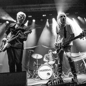 THE MOLOTOVS