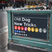 Old Dogs New Tricks