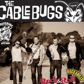 The Cable Bugs.jpg