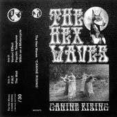 Canine Rising