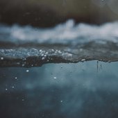 Blue-Gray