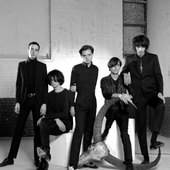 The Horrors