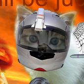 cat_bag için avatar