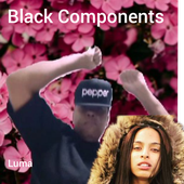 Black Components
