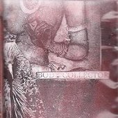 Body Collector 2