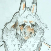 porcelain_goat 的头像