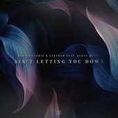 Ain't Letting You Down