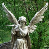 do-the-angels-still-know-how-to-play-angelic-instruments-v0-yjeqmz76ui6d1.jpg