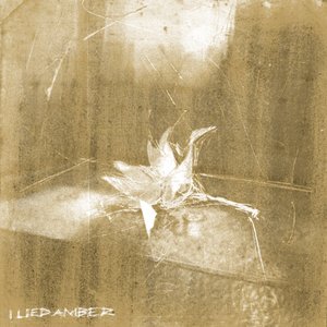 Image for 'I Lied, Amber'
