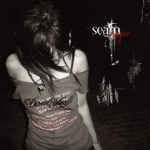 Image pour 'seamripper'