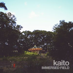 Image for 'IMMERSED FIELD'