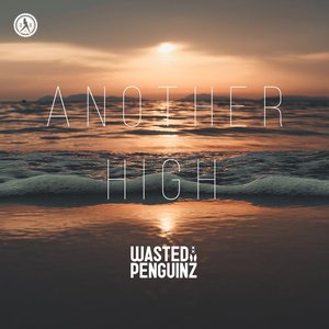 Image for 'Another High'