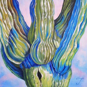 'BABY CACTUS'の画像