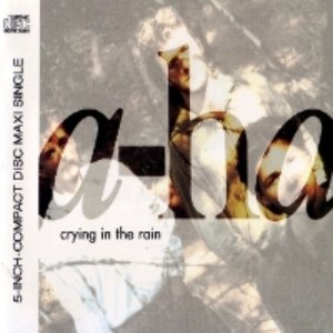 Bild für 'Crying In The Rain'