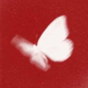 Изображение для 'Butterfly 2026'