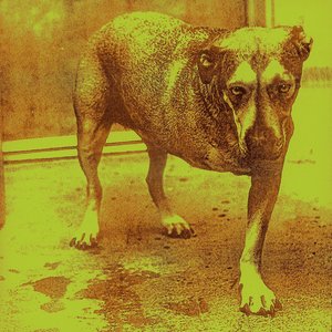 Image for 'Alice in Chains'