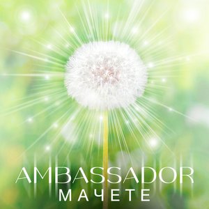 Изображение для 'AMBASSADOR'