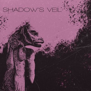 “Shadows veil”的封面