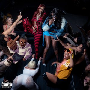 Image for 'Embrace It (Remix) (feat. Sexyy Red, Flo Milli, RJ Pasin)'