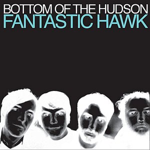 Image for 'Fantastic Hawk'