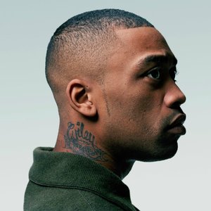 “Wiley”的封面