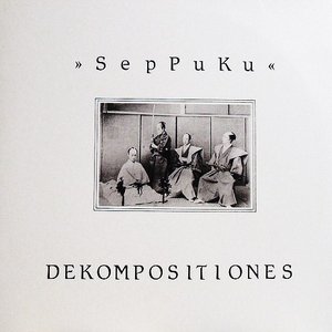 Image for 'Dekompositiones'