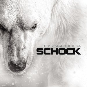 Image for 'Schock'