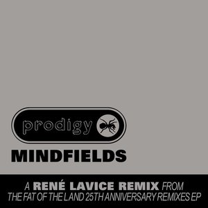 Image for 'Mindfields (René LaVice Remix)'