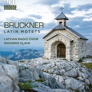 Image pour 'Bruckner: Latin Motets'