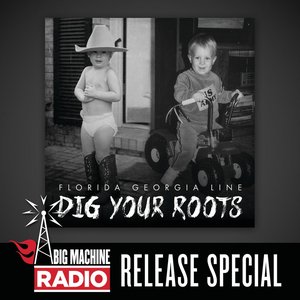 Imagem de 'Dig Your Roots (Big Machine Radio Release Special)'