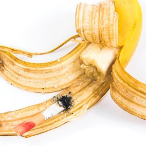 Image pour 'Breakfast'