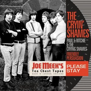 Image for 'Please Stay'