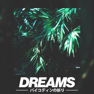 Image for 'DREAMS'