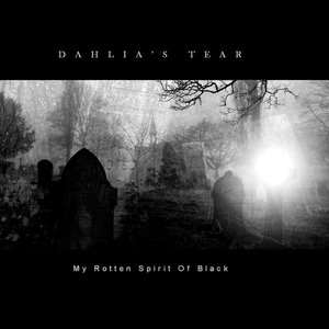Image for 'My Rotten Spirit Of Black'