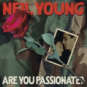 “Are You Passionate?”的封面