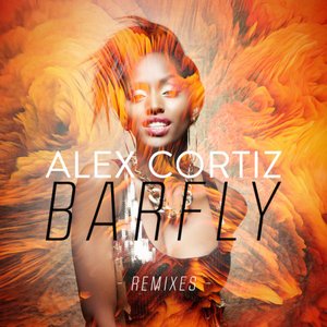 Immagine per 'Barfly (Remixes)'