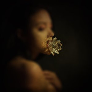 Image pour 'Lotus Flower'