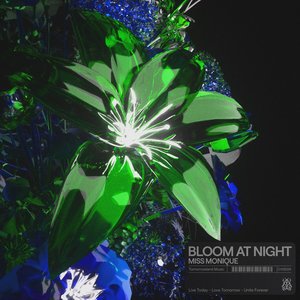 “Bloom At Night”的封面