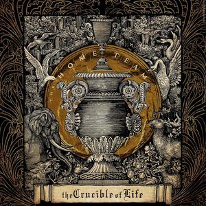 Image pour 'The Crucible of Life'