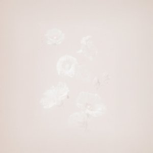 Image for 'intention'