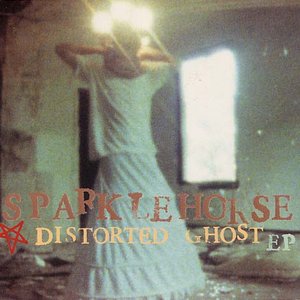 Bild für 'Distorted Ghost - EP'