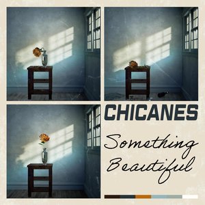 Image for 'Something Beautiful'