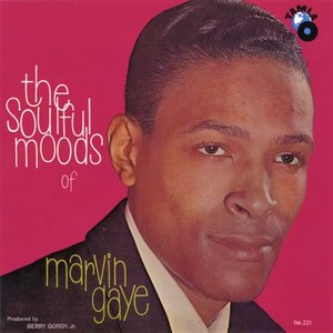 Image for 'The Soulful Moods Of Marvin Gaye'