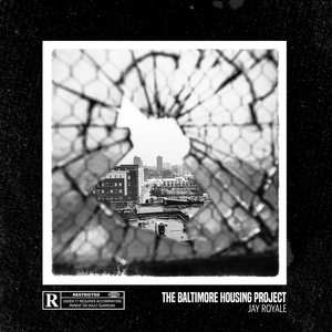 Immagine per 'The Baltimore Housing Project'