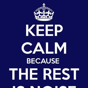 Image for 'the rest is noise'