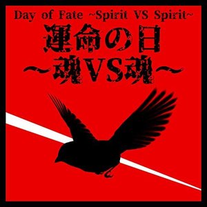 Image for 'Day of Fate ~Spirit VS Spirit~'