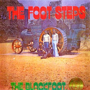 Image for 'the foot steps'