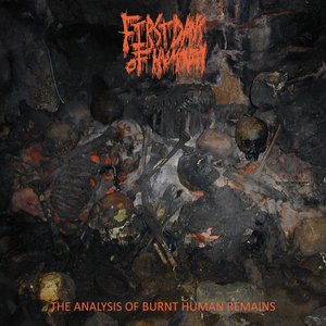 Imagem de 'The Analysis of Burnt Human Remains'