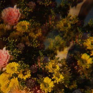 Image for 'Rust'