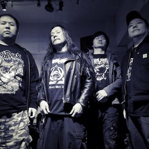 “Caassimolar”的封面